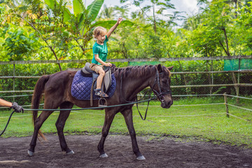 Boy horseback riding, performing exercises on horseback