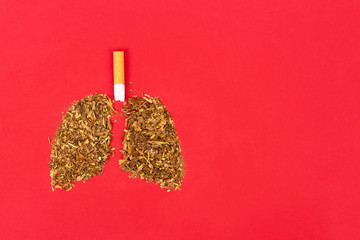 Lungs are made from tobacco and a cigarette is on a red background. Copy space.