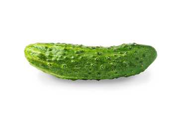 Cucumber