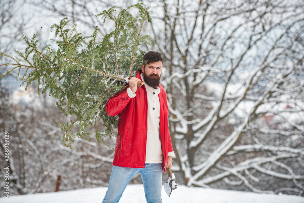 Wall mural woodcutter with axe in the winter forest. winter landscape. styling santa hipster with a long beard 