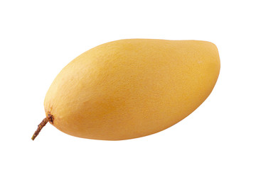 Yellow Mango fruit  Isolated on white background