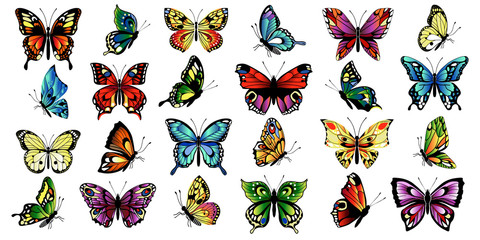 set multicolored butterflies
