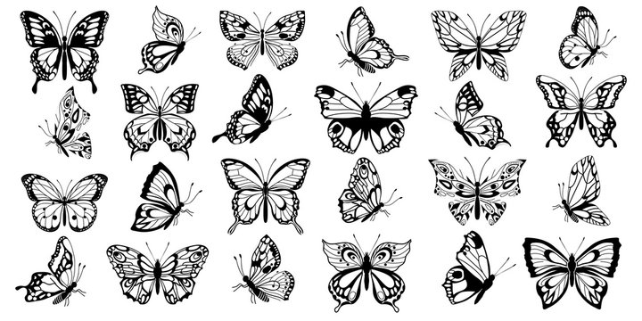  Set  filigree butterflies