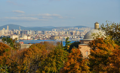 Cityscape of Istanbul with autumn trees