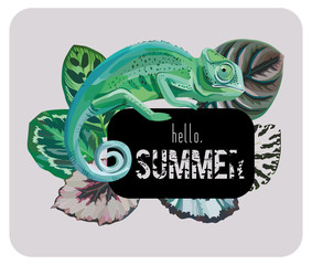 Slogan hello summer with chameleon