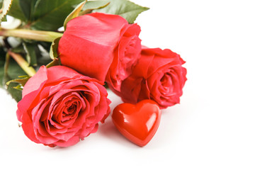 red rose isolated on white