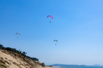 奈多海岸のパラグライダー