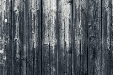 Fototapeta na wymiar Old shabby wooden gray fence. Grey wood surface. Dilapidated gray wooden boards with hobnail. Grunge wood pattern texture background, wooden planks. Oak wood wall dirty fence.