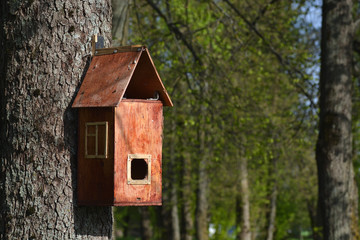 birdhouse on tree
