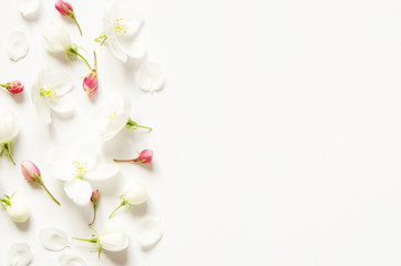 Flowers composition. Pattern made white and pink flowers with space for text on white paper. Mockup. View from above. - Image