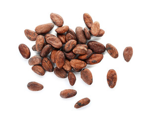 Cocoa beans on white background