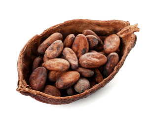 Cocoa pod with beans on white background