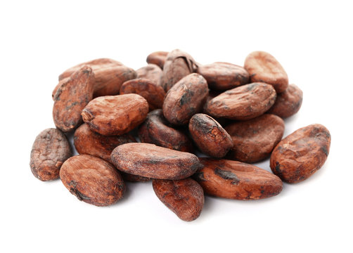 Cocoa Beans On White Background