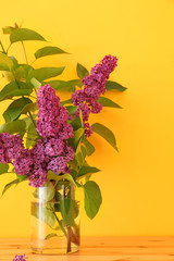Beautiful lilac flowers in vase on table against color background