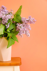 Beautiful lilac flowers in vase on table against color background