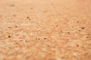 sandy Soil pattern texture/background, The cracked earth/ground in drought, Soil texture and dry mud, Dry land.