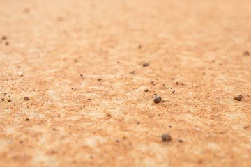 sandy Soil pattern texture/background, The cracked earth/ground in drought, Soil texture and dry mud, Dry land.