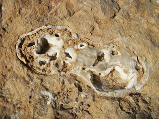 Beautiful background of rocks of different textures