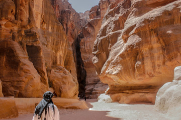 Canyon bei Petra in Jordanien