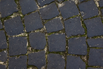 Obraz premium texture of old floor