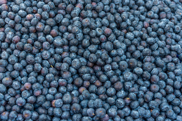 Closeup of a Pile of Fresh Blueberries in an Open Air Market