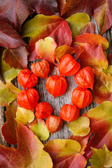 Herzform aus roten Physalis auf grauem Holz umrandet von Herbstlaub