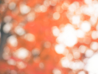 Blur orange maple leaves background with bokeh.