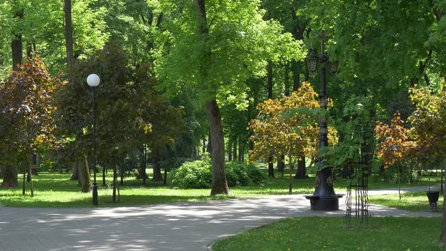 GOMEL, BELARUS - MAY 15, 2019: Palace and park ensemble of the Rumyantsevs Paskevichi. Cozy green park.