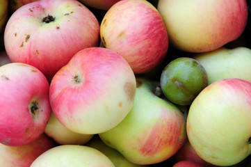 group of apples on white background