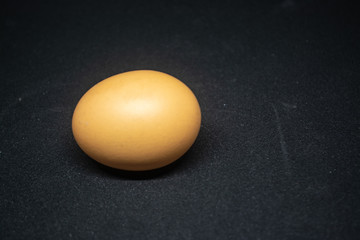 Egg for cooking many types of food for all human being to good healthy