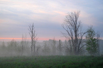 Obraz premium Landscape with the image of fog on lake Seliger in Russia