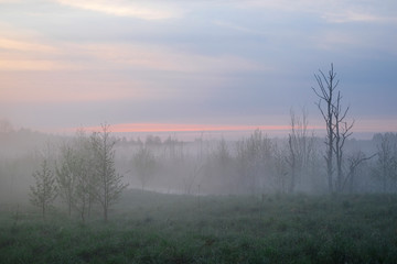 Fototapeta premium Landscape with the image of fog on lake Seliger in Russia