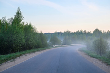 Fototapeta premium Landscape with the image of forest