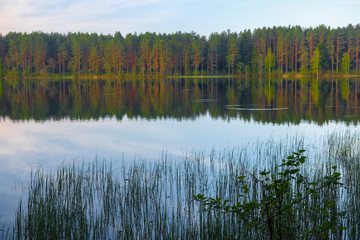 Landscape with the image of lake Seliger in Russia
