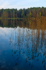 Landscape with the image of lake Seliger in Russia