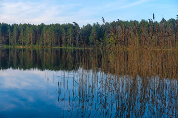 Landscape with the image of lake Seliger in Russia