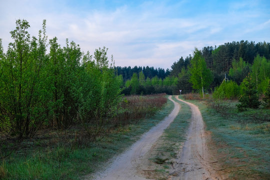 Landscape with the image of forest
