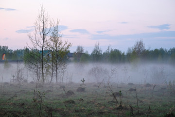 Landscape with the image of lake Seliger bank in Russia