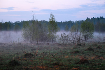 Landscape with the image of lake Seliger bank in Russia