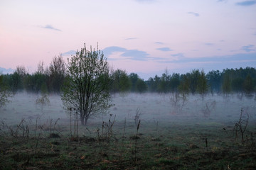 Landscape with the image of fog on lake Seliger in Russia