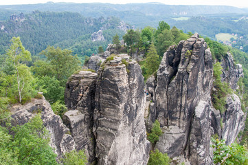 Mountain landscape of Saxon Switzerland. Forest-covered rocks.