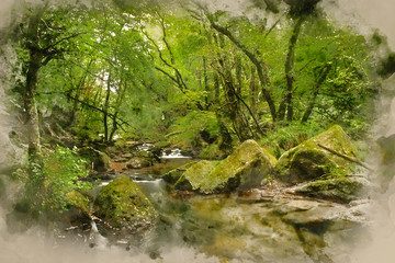 Watercolour painting of Stunning landscape iamge of river flowing through lush green forest in Summer