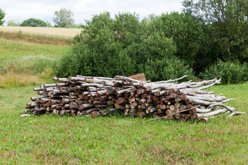 logging wood