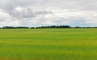Cloudy weather,