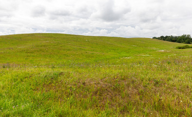 grass hill territory