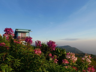 Top of the mountains