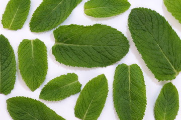 Leaves of fragrant peppermint
