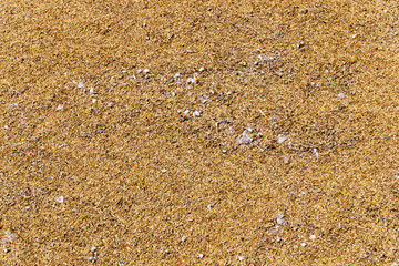 Abstract mixed grain crop.