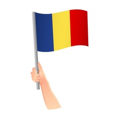 Chad flag in hand icon