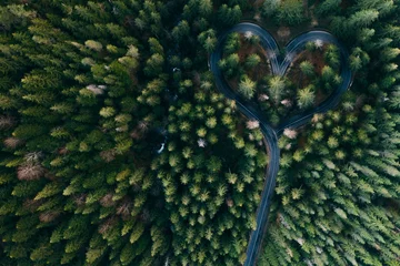 Drohnenansicht der kurvenreichen Waldstraße © belyaaa